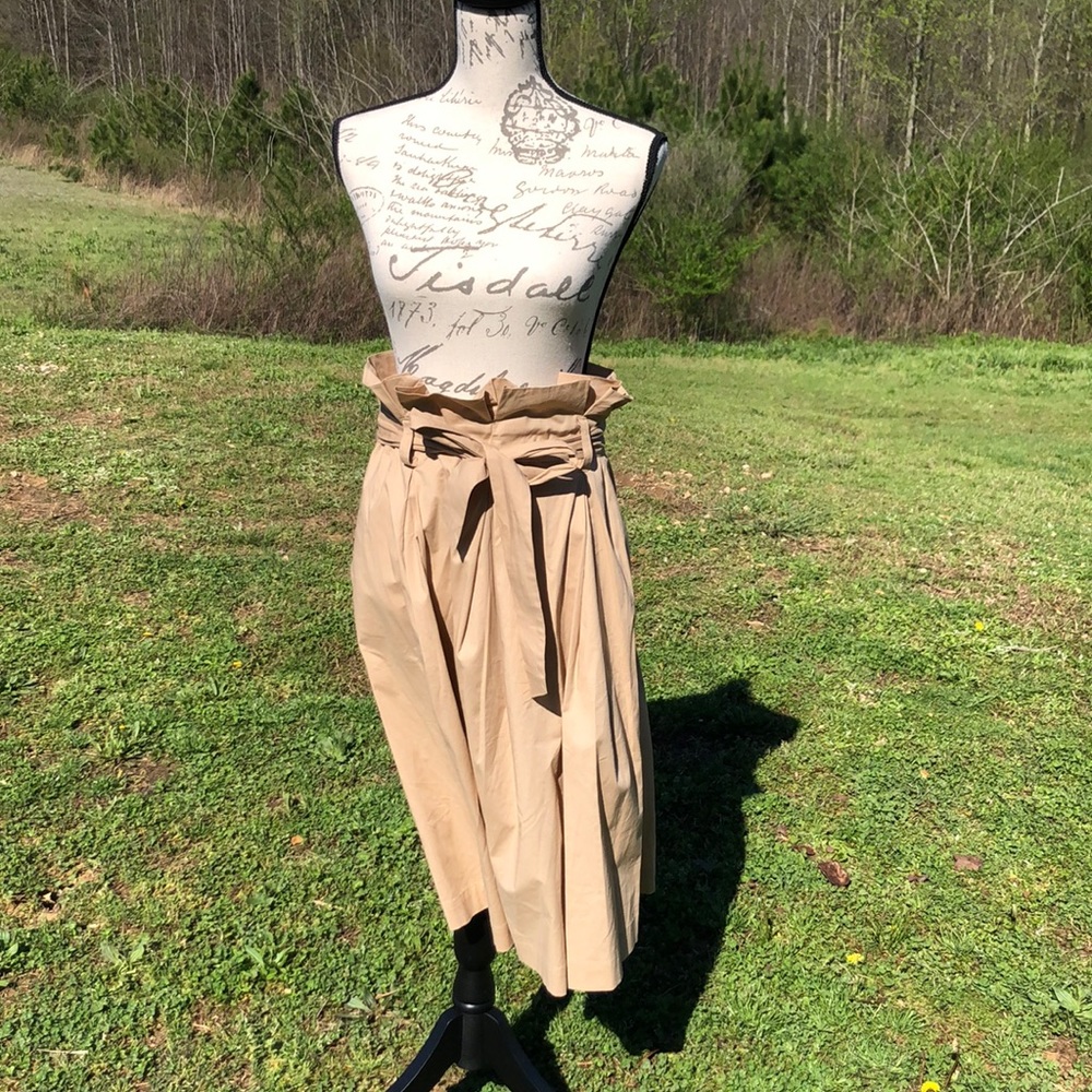Banana republic factory Skirt size 4